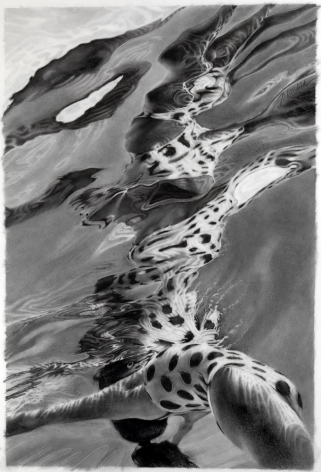 Lorraine Shemesh, Totem, 2014, Graphite wash on mylar, 32 1/2 x 22 inches, Realistic graphite underwater drawing. Lorraine Shemesh is an American artist who abstracts the human form. She marries figure-based painting with abstract expressionist concerns.
